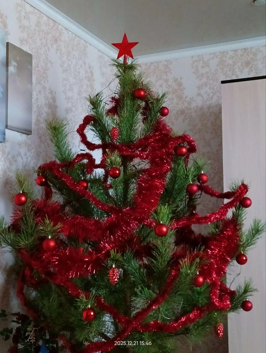 Год Красной Лошади, разве можно нарядить иначе!  | Источник: читатель 63.RU 