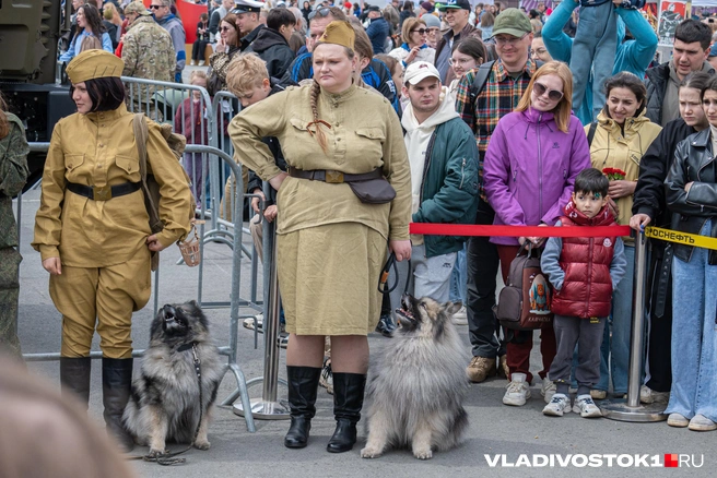 Источник: Елена Буйвол / VLADIVOSTOK1.RU