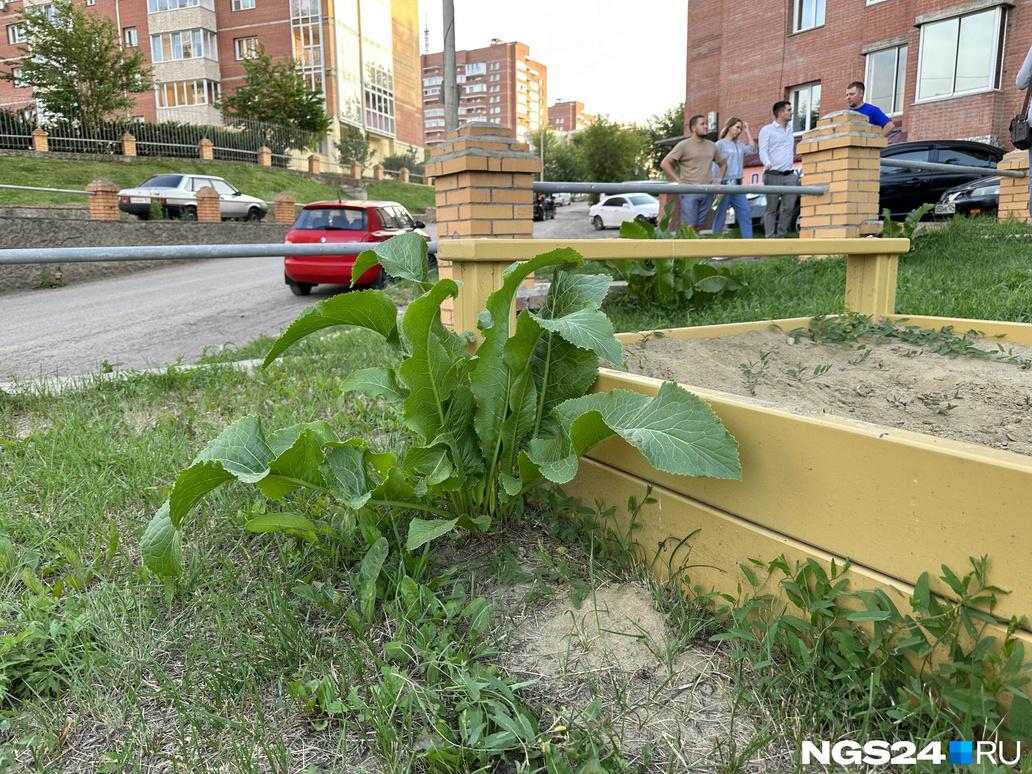 Жители дома в Октябрьском районе Красноярска пытаются заставить управляющую  компанию работать - 12 августа 2023 - НГС24.ру