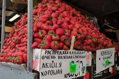 Клубничный бум: цены в Петербурге от 150 до 1500 рублей