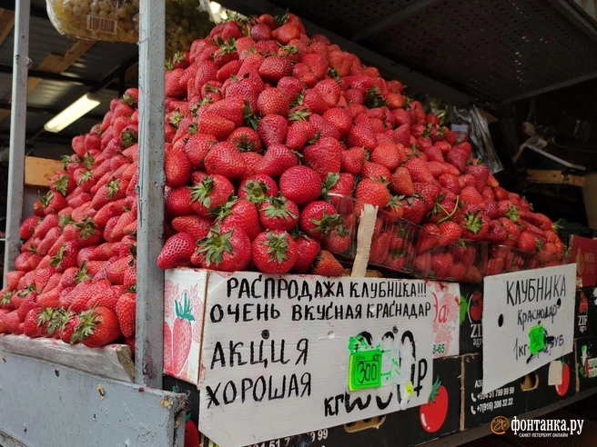 Клубничный бум: что не так с ценами в Петербурге | Источник: Михаил Огнев / FONTANKA.RU