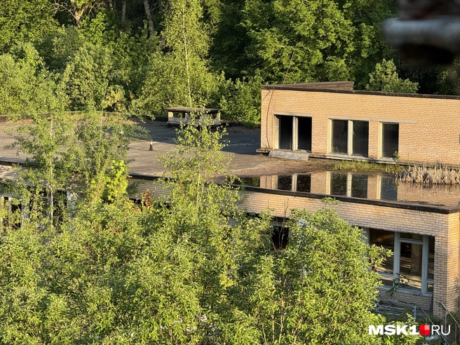 Источник: Алина Мельникова / MSK1.RU