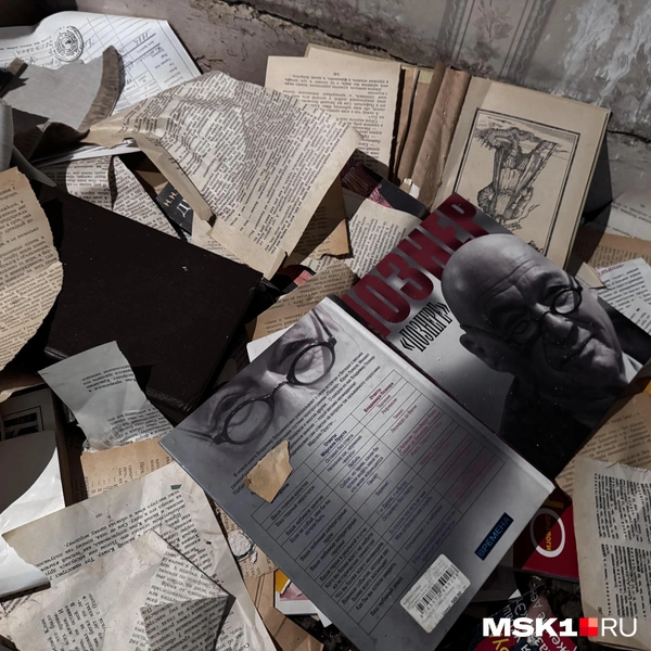 Источник: Алина Мельникова / MSK1.RU