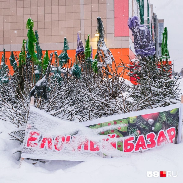 Вывеску замело | Источник: Тимофей Калмаков / 59.RU