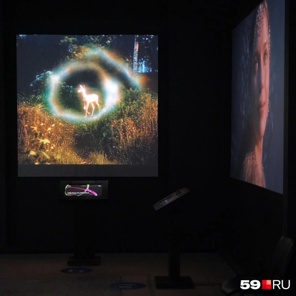 Почти патронус Гарри Поттера | Источник: Тимофей Калмаков / 59.RU