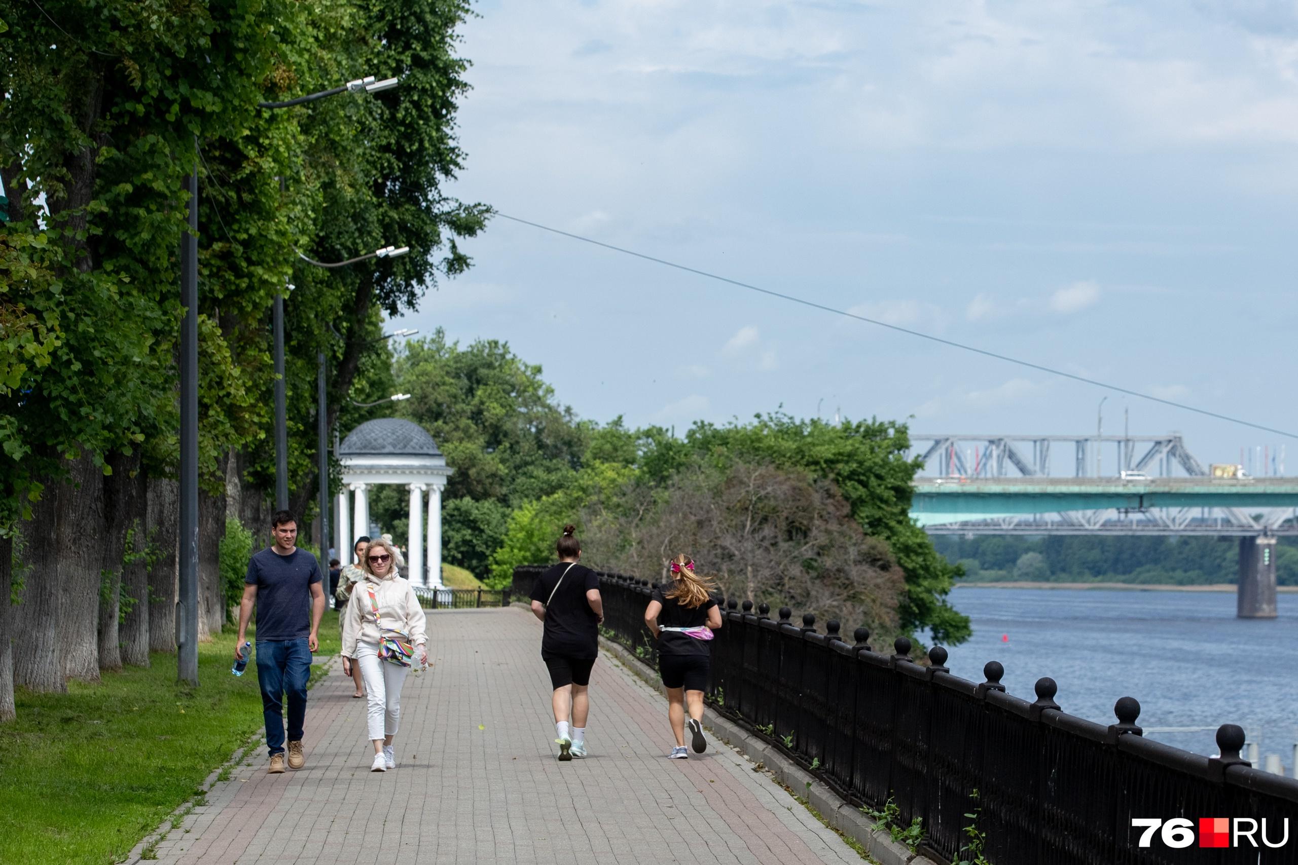 В Ярославле для проведения театрального шествия перекрыли набережную. Программа