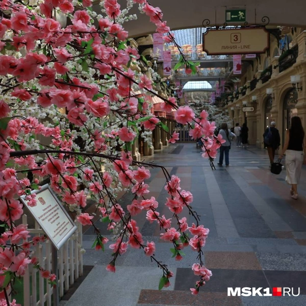 Народу в ГУМе было не очень много | Источник: Артем Устюжанин / MSK1.RU