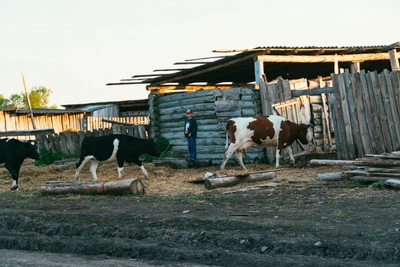 В Омской области ввели карантин из-за вспышки бешенства