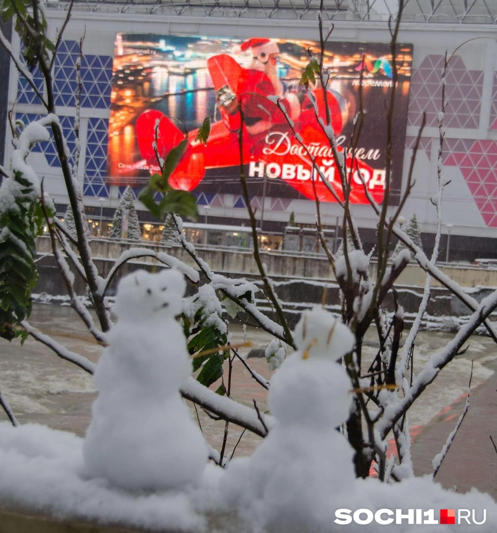 Сочи впервые за 20 лет встретил Новый год со снегом | Источник: Оксана Витязь