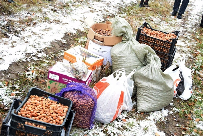 Посевной материал | Источник: Экодвижение «Зеленый хоровод»