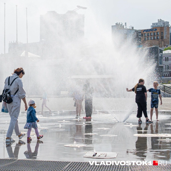 Источник: Елена Буйвол / VLADIVOSTOK1.RU