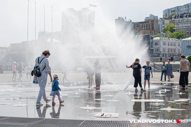 Источник: Елена Буйвол / VLADIVOSTOK1.RU