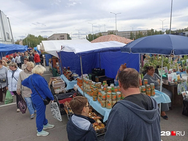 Источник: Иван Митюшёв / 29.RU