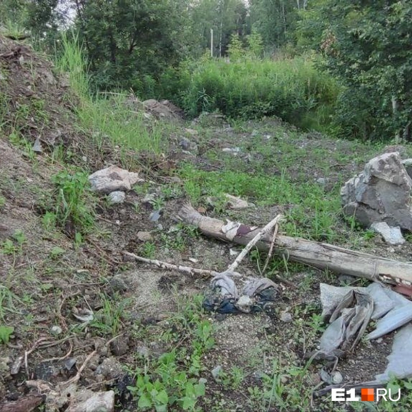 Пока участок пустовал, здесь образовалась свалка | Источник: Марина Елькина