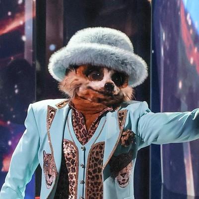 Сурикат Филиппович, обошедший названного отца, стал бронзовым призером седьмого сезона шоу «Маска»