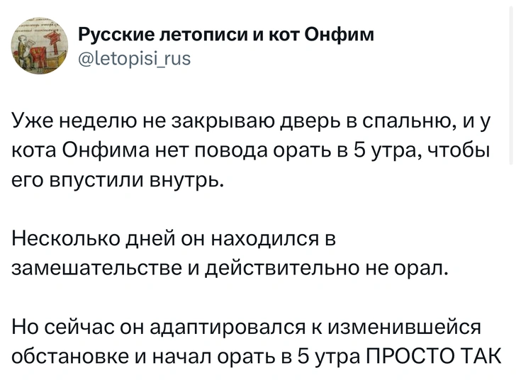 Источник: X (Twitter)