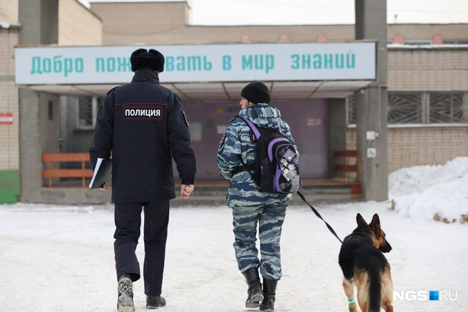 Здание школы обследуют кинолог с обученной на поиск взрывчатки собакой | Источник: Дарья Пона / 74.ru