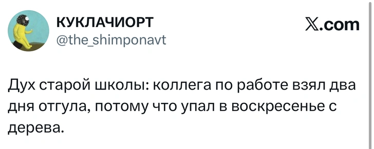 Источник: X (Twitter)