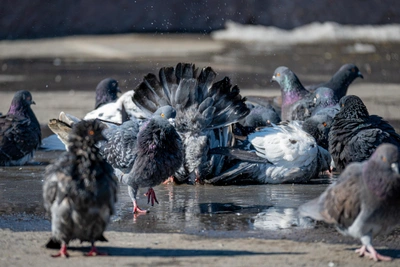 Погода в Приморье на выходные: небольшой снег