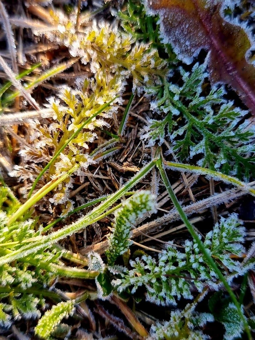 Источник: Анастасия Руднева / Vk.com