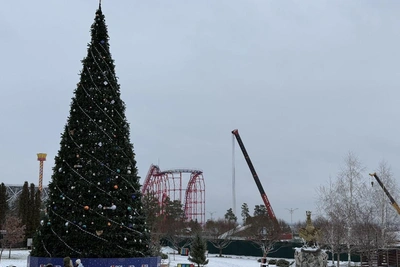 Волгоград остался без колеса обозрения в центре
