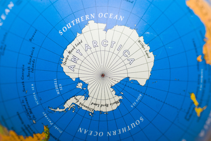 В чем разница между Антарктикой и Антарктидой?