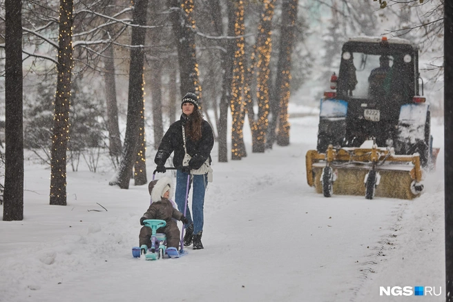В городе может похолодать до -14 градусов | Источник: Александр Ощепков / NGS.RU
