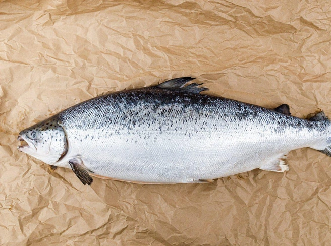Основатель бренда ездит за рыбой и морепродуктами на Камчатку, где лично отбирает лучший товар  | Источник: «РыбаИкра»