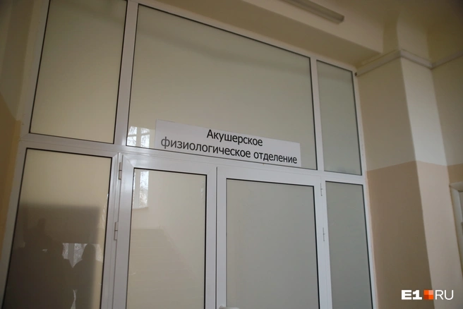 Источник: Денис Полуэктов / E1.RU