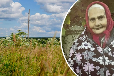 Пропавшую 87-летнюю пенсионерку нашли мертвой в поле