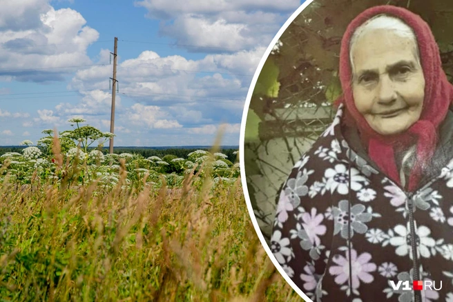 Поиски ведутся с 30 июля | Источник: Александра Мамонтова / 76.RU; форум поискового отряда «Лиза Алерт»