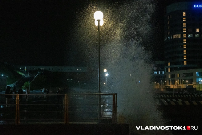 Источник: Елена Буйвол / VLADIVOSTOK1.RU