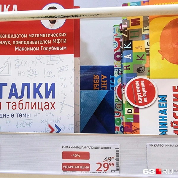За шпорами для ЕГЭ по математике (89,99 рубля) притаилась шпаргалка по английскому (29,95 рубля) | Источник: Роман Данилкин / 63.RU