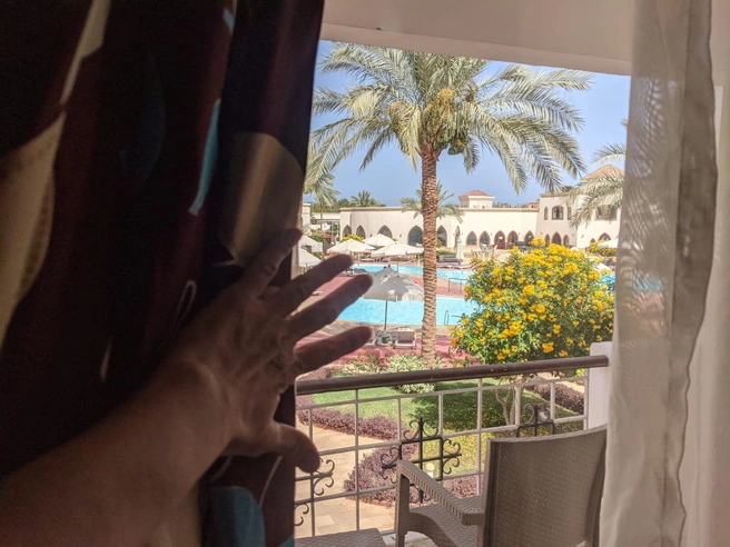 Египтяне преобразили пустыню, превратив ее в рай | Источник: Оксана Витязь