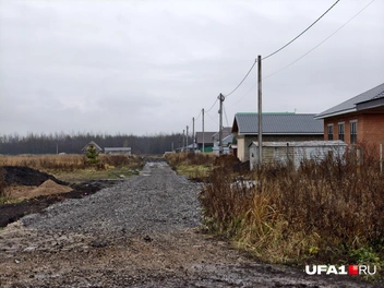 Источник: Булат Салихов / UFA1.RU