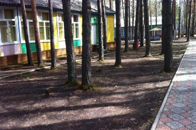 Над ребенком издевались в лагере | Источник: Следственный комитет по Красноярскому краю и Хакасии / t.me