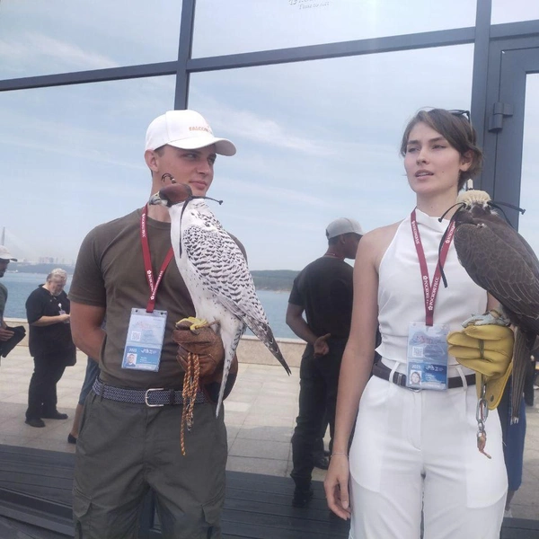 Источник: Екатерина Дымова / VLADIVOSTOK1.RU