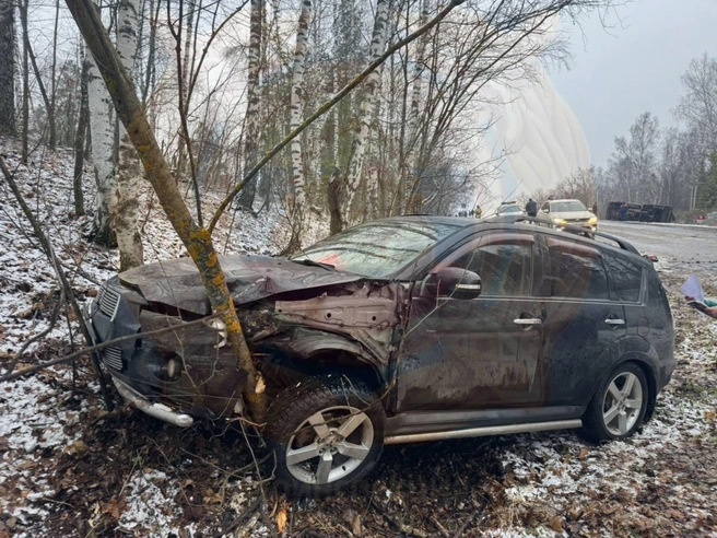 Один из автомобилей врезался в дерево и сильно помялся спереди | Источник: gibddtatarstan / T.me