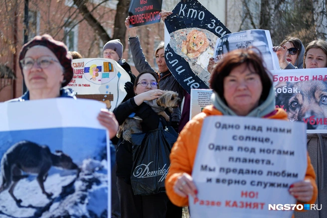 Многие приходили вместе со своими питомцами | Источник: Варвара Фролова / NGS70.RU