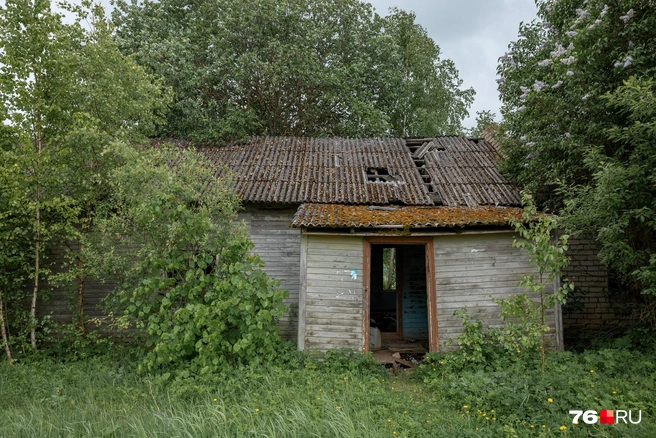 Однако среди ухоженных домов встречаются и ветхие, давно оставленные  | Источник: Александр Куренной / 76.RU