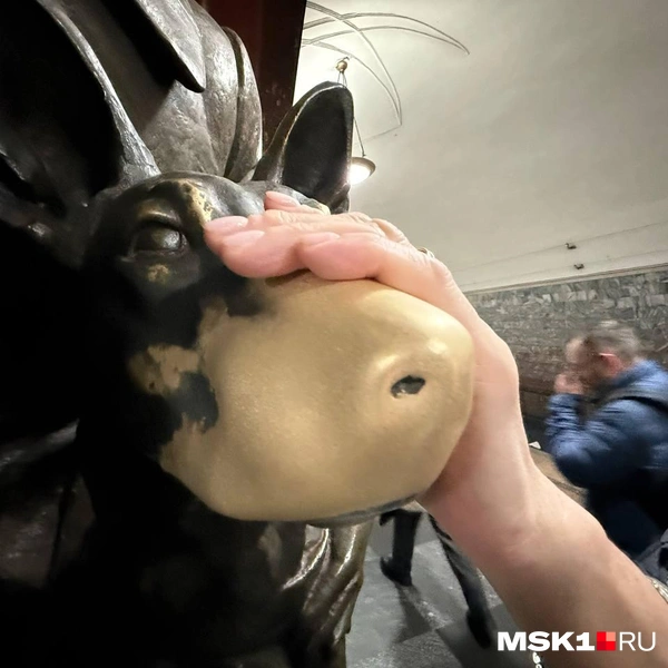 Источник: Артем Устюжанин / MSK1.RU