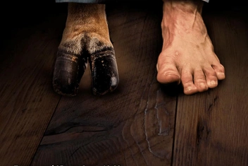 Театр «Модерн» объявил даты премьер нового сезона