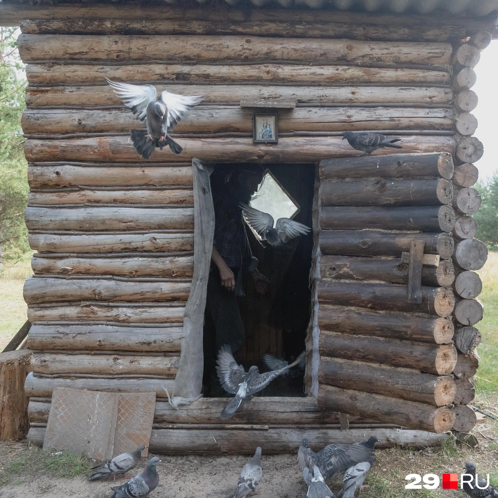 Источник: Иван Митюшёв