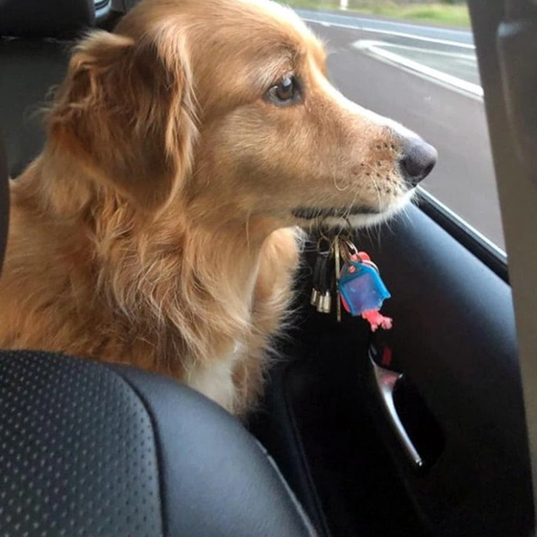 Источник: соцсети