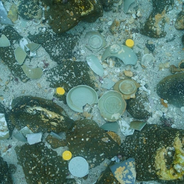 Как новые: посмотрите на селадоновые чаши из Кореи, пролежавшие 900 лет на морском дне