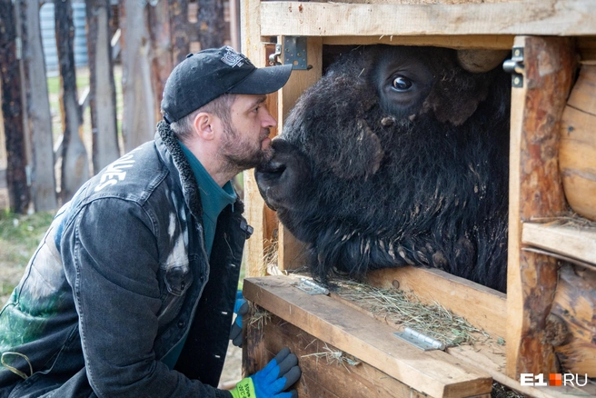 Какой Бигги большой&nbsp;— действительно big! | Источник: Владислав Лоншаков / E1.RU