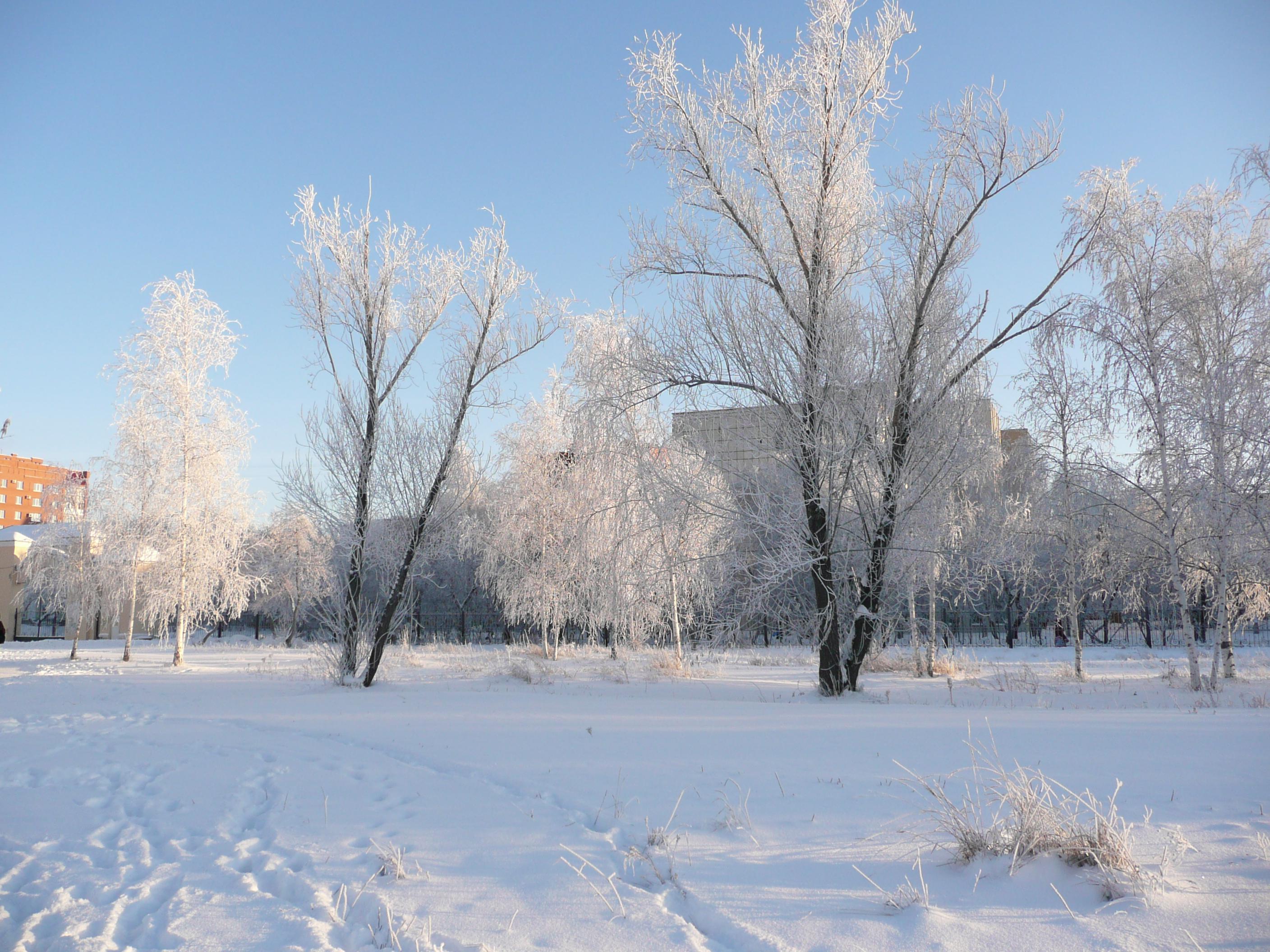 В этот раз сразу на двух сменах: в Кургане отменили занятия в школах 