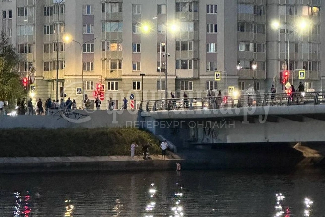 Упавший в Дудергофский канал смог выбраться на берег | Источник: читатель «Фонтанки»