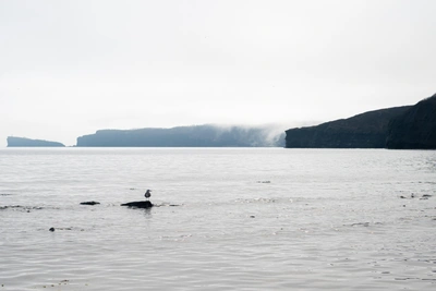 На Русском острове модернизируют очистные сооружения