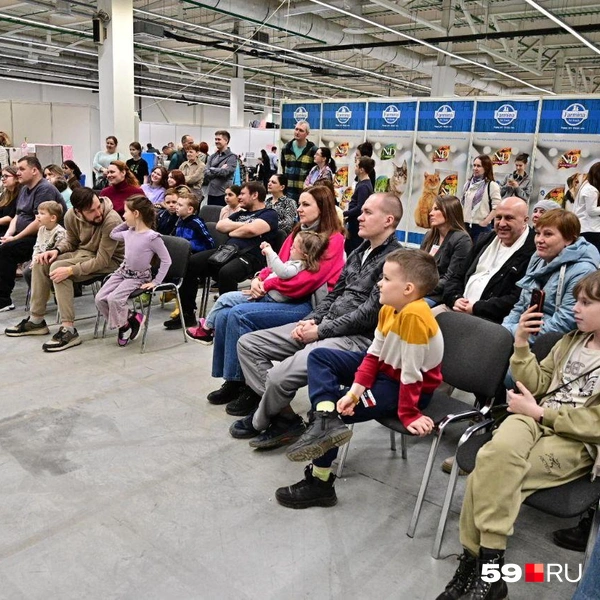Источник: Василина Любимова / 59.RU 